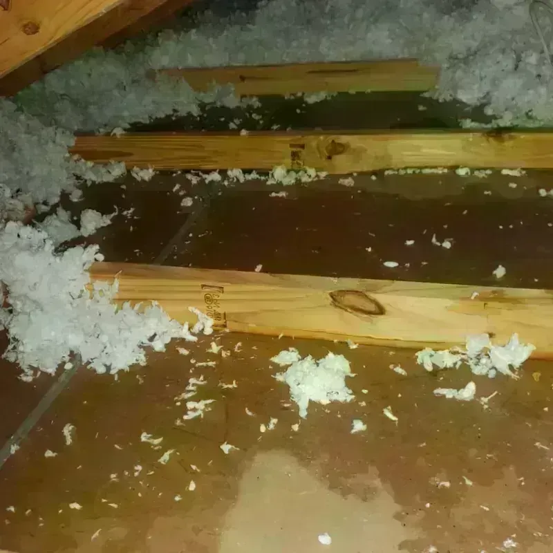 Attic Water Damage in Gentry County, MO